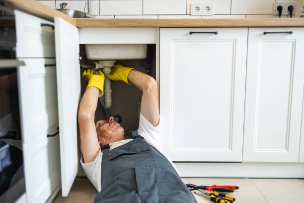 Best 24-Hour Plumber Near Me  in Azalea Park, FL