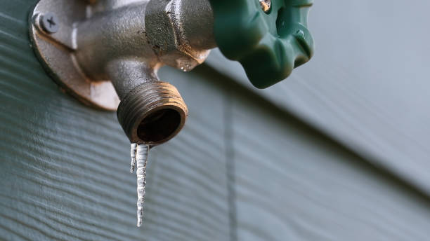Best Residential Plumbing Services  in Azalea Park, FL