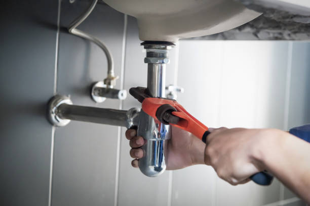 Best Plumbing Inspection Services  in Azalea Park, FL